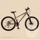 Damen-Mountainbike